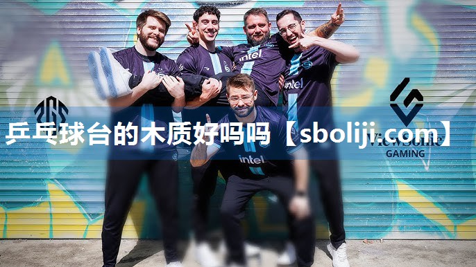 乒乓球台的木质好吗吗