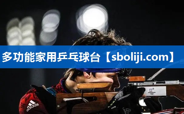 多功能家用乒乓球台