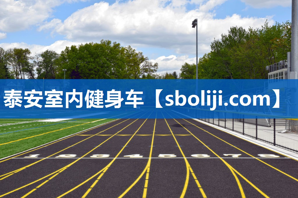 泰安室内健身车