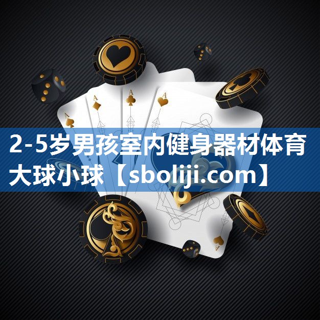 2-5岁男孩室内健身器材体育大球小球