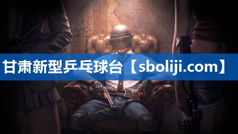 甘肃新型乒乓球台