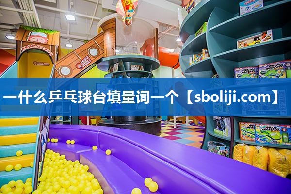 一什么乒乓球台填量词一个