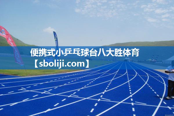 便携式小乒乓球台八大胜体育