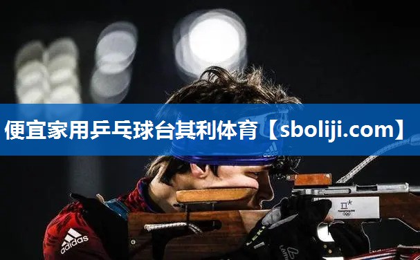 便宜家用乒乓球台其利体育