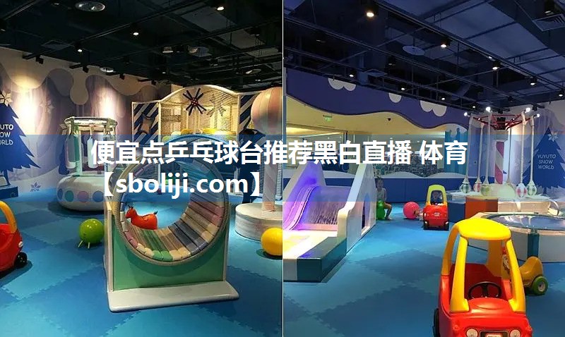 便宜点乒乓球台推荐黑白直播 体育