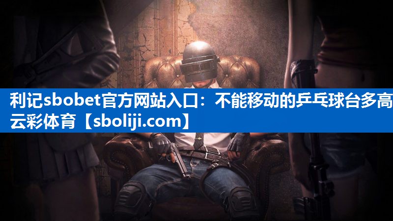 利记sbobet官方网站入口：不能移动的乒乓球台多高云彩体育