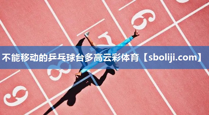 不能移动的乒乓球台多高云彩体育