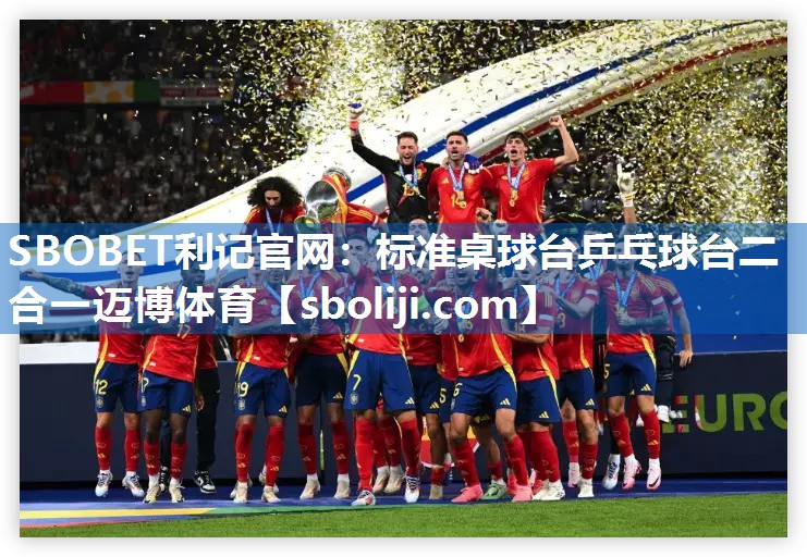 SBOBET利记官网：标准桌球台乒乓球台二合一迈博体育