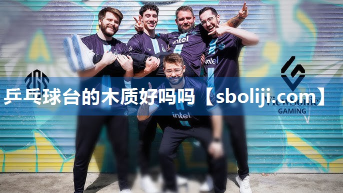 乒乓球台的木质好吗吗