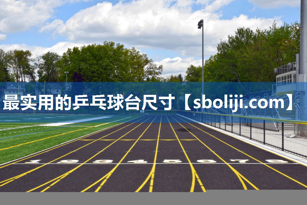 最实用的乒乓球台尺寸