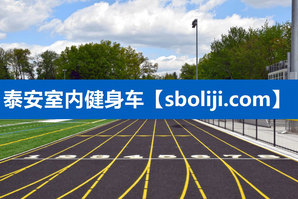泰安室内健身车