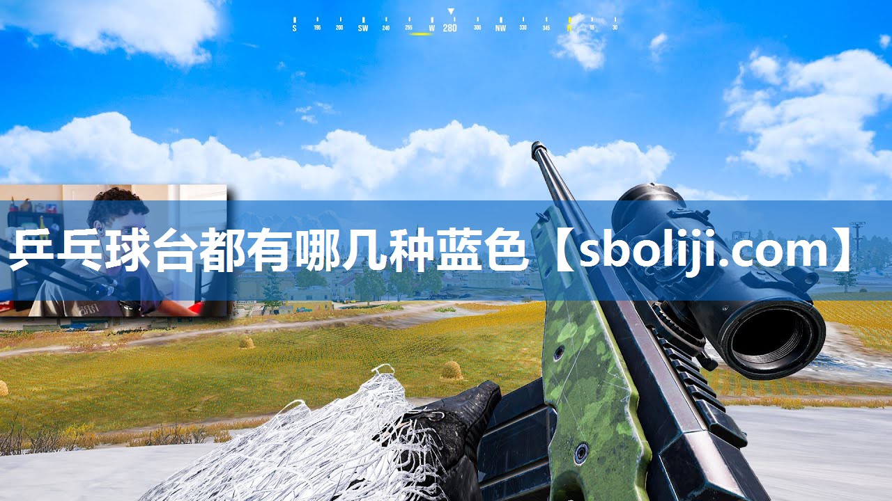 乒乓球台都有哪几种蓝色