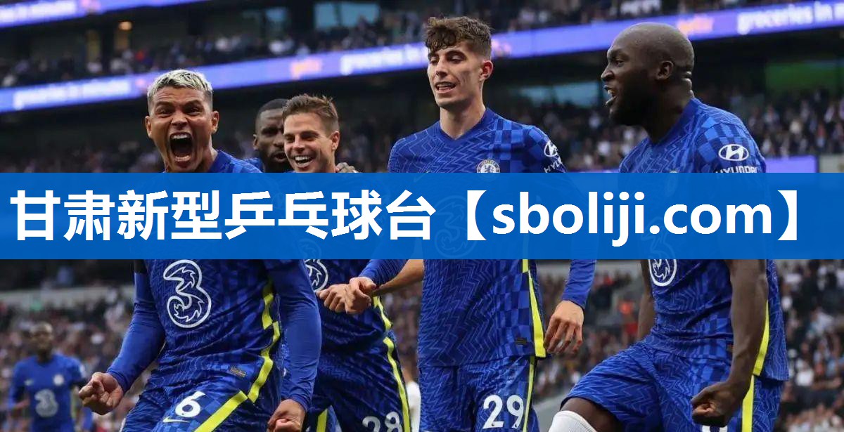 甘肃新型乒乓球台