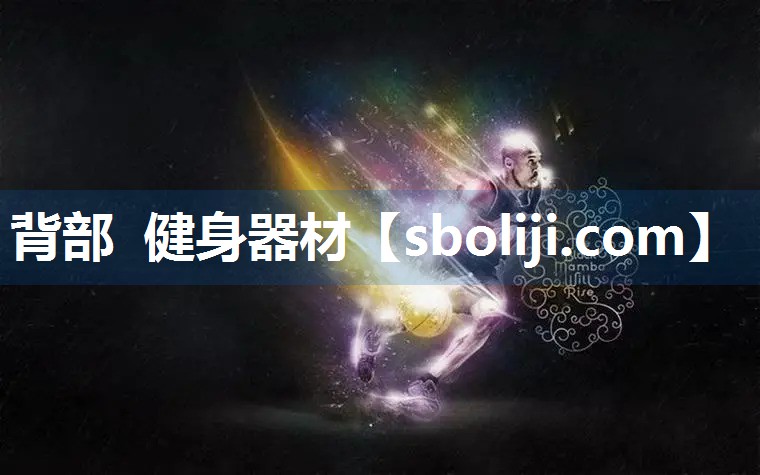 背部 健身器材